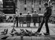 boy kicking at pigeons - UK street Photography