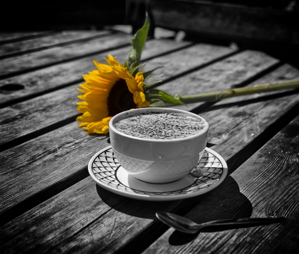 hot chocolate and sunflower - UK street Photography