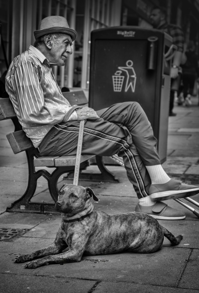 man and dog- UK street Photograph