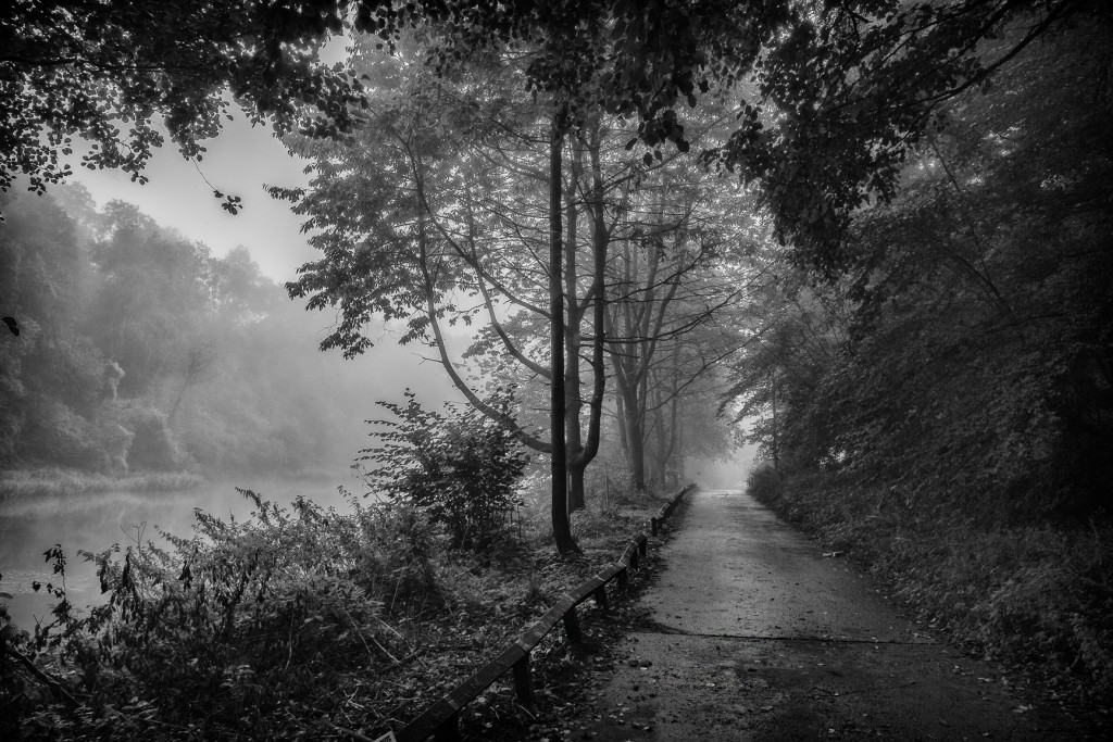 the misty path