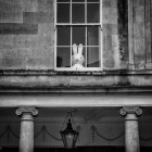 window bunny - UK street Photography