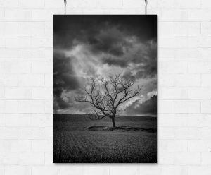 Lone tree and stormy skies-print