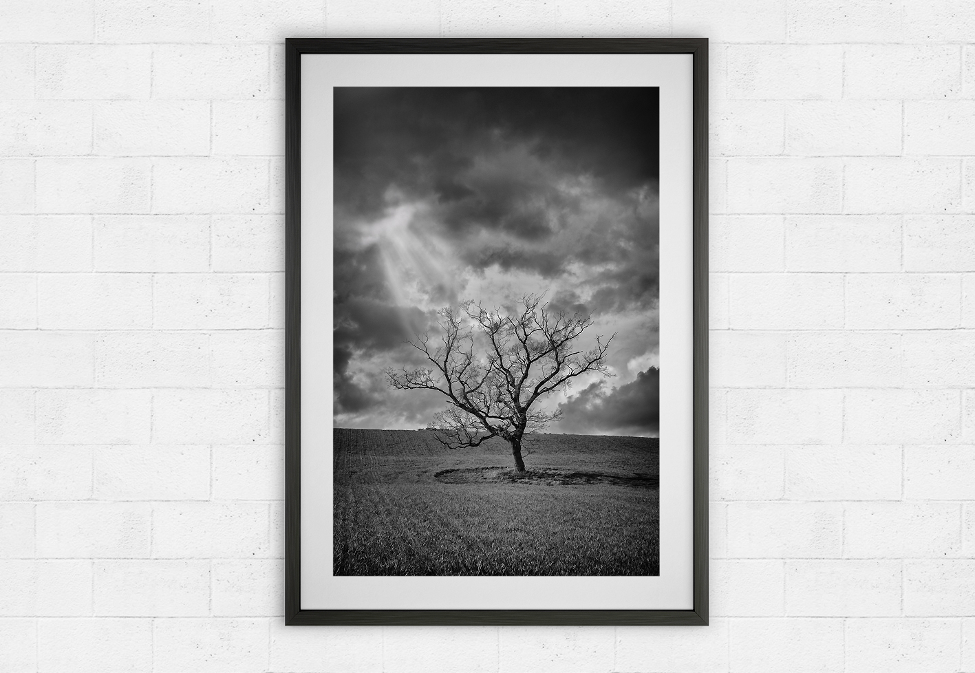 lone tree and stormy skies
