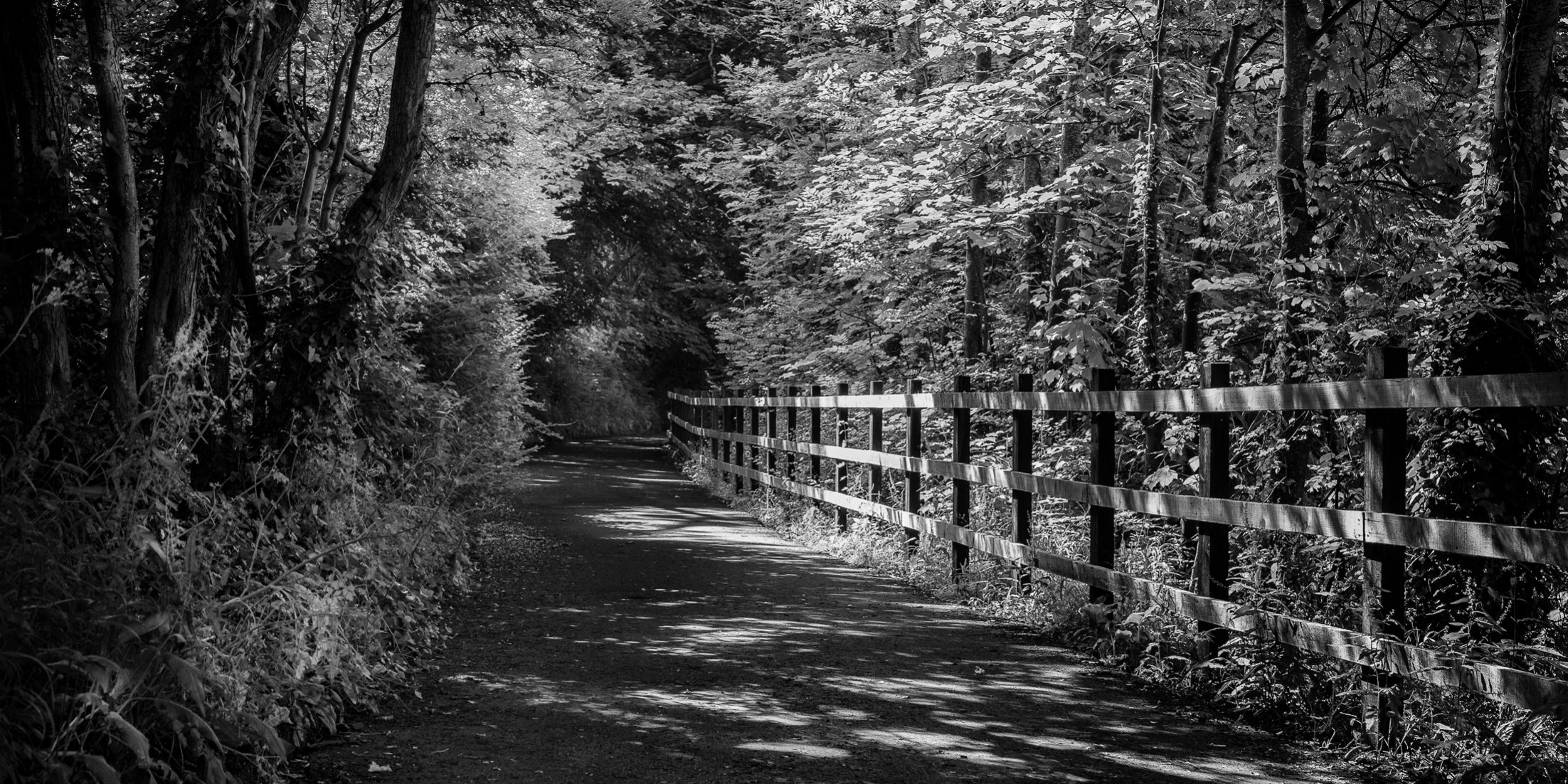 River walk - Bath street photography