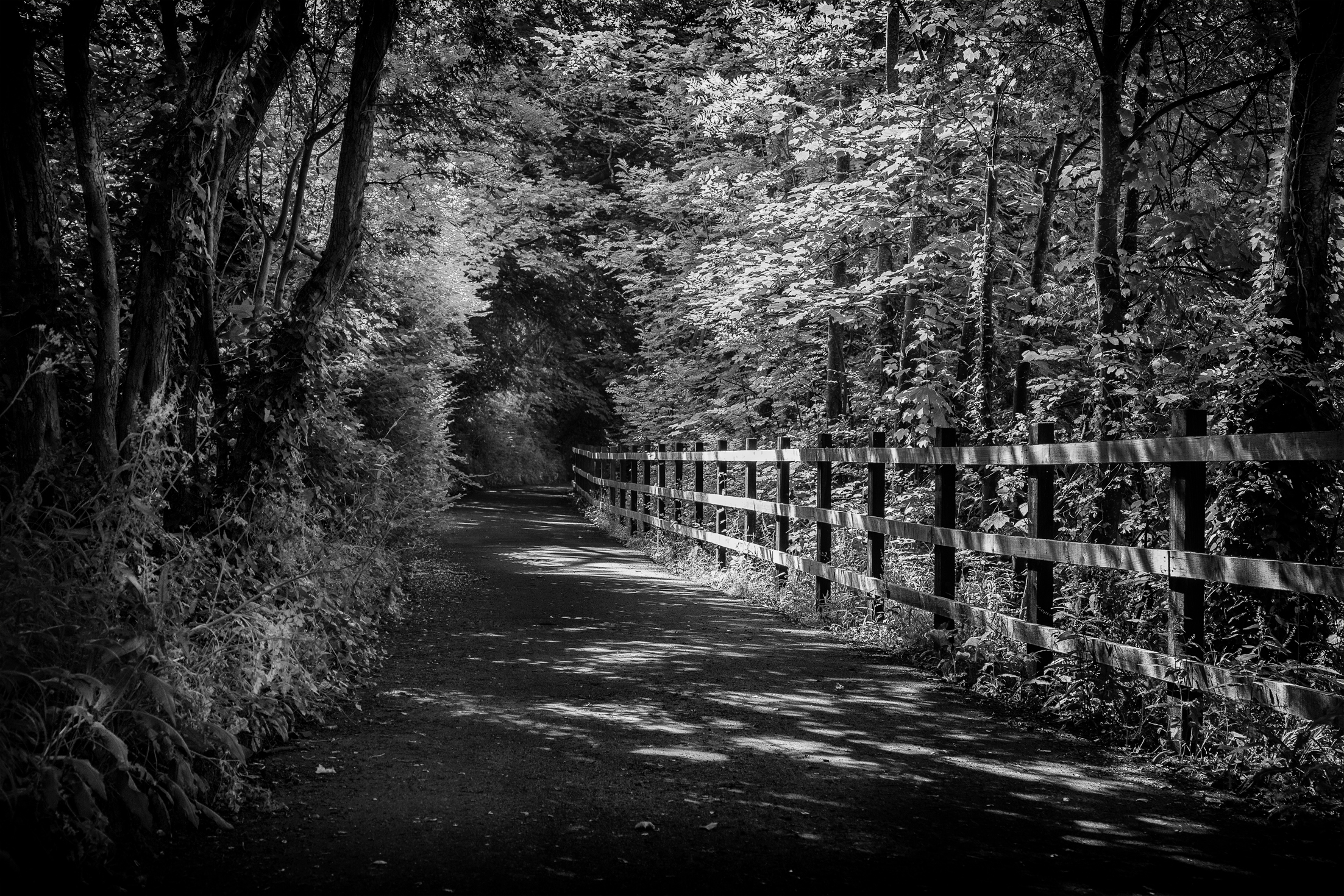 River walk - Bath street photography