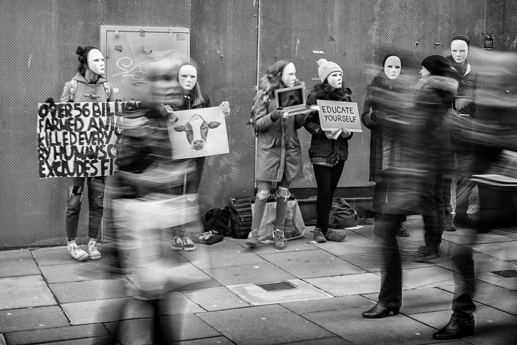 educate yourself - animal rights protest in Bath