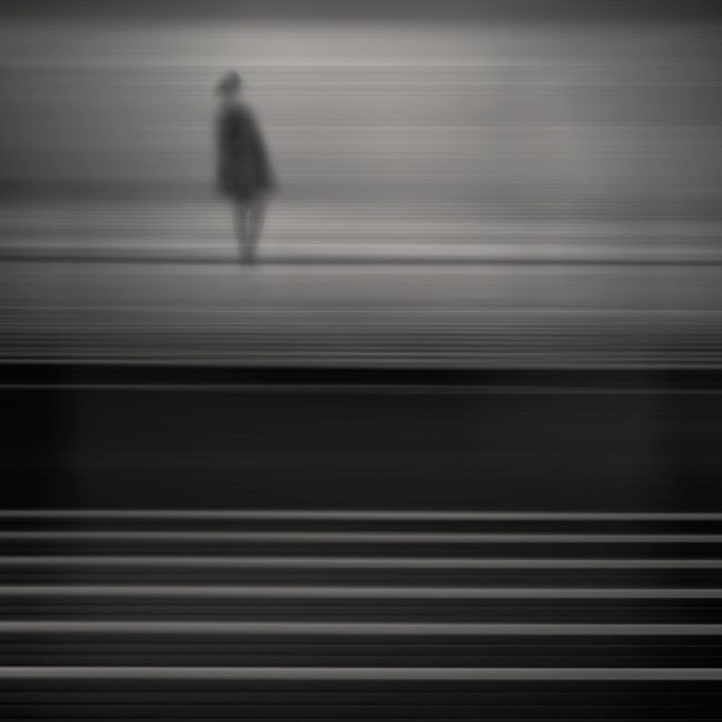 Shadow Lady Shadow Lady