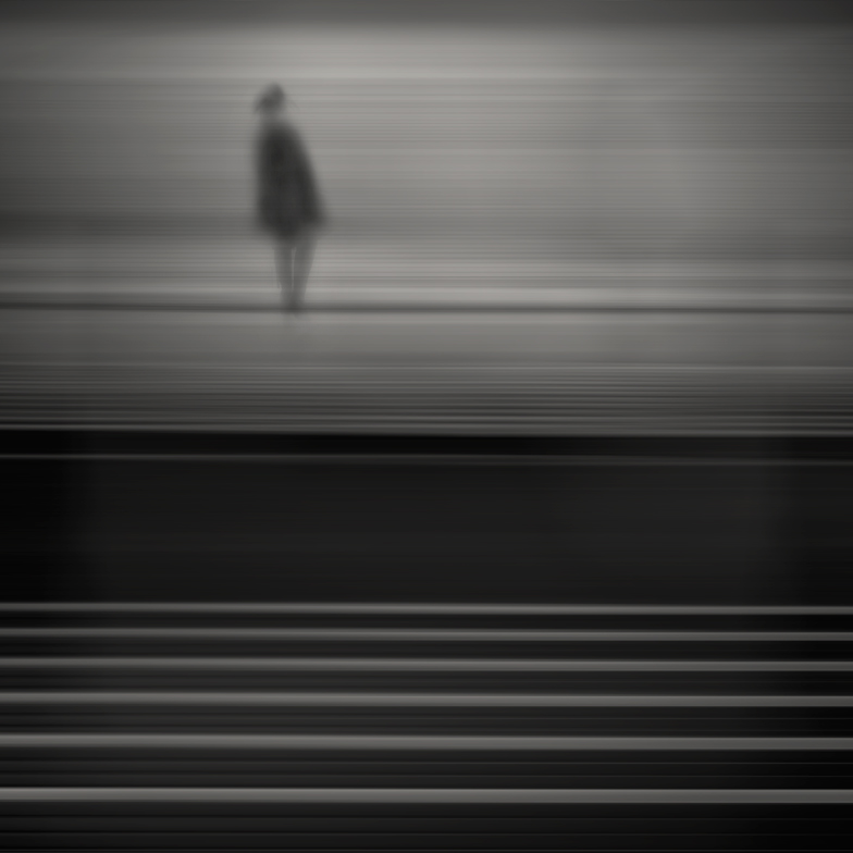 Shadow Lady Shadow Lady